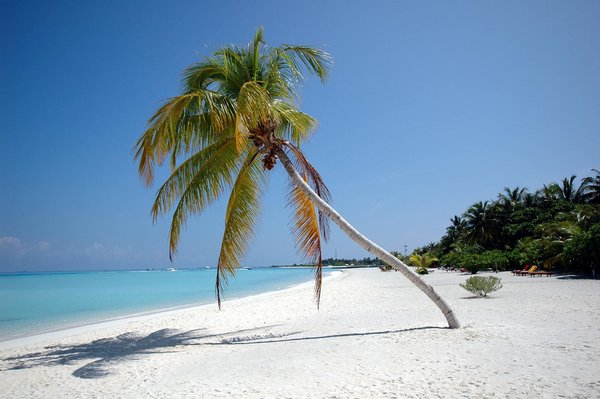 Quels sont les secrets pour découvrir les grottes marines de la côte d'Algarve au Portugal : itinéraires et conseils pratiques ?