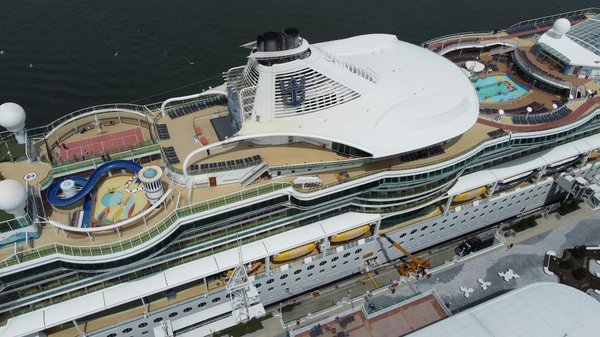 Comment organiser une croisière pour explorer les forêts tropicales de Bornéo?